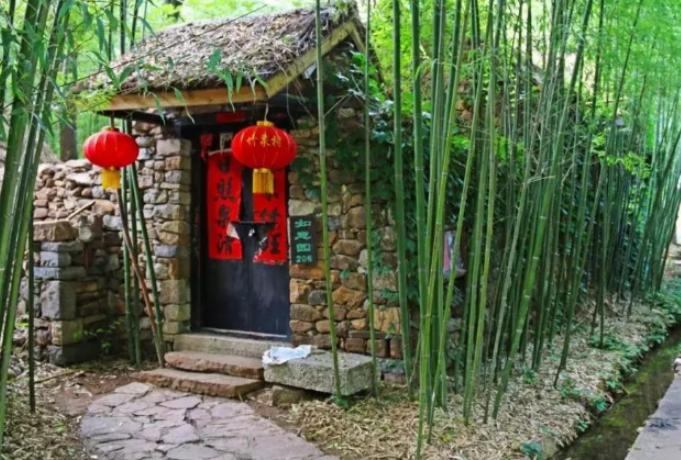 门前屋后种竹子好不好,门前屋后种竹子有什么讲究吗