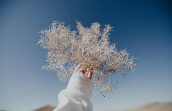 一个女人越活越好的几个迹象，五个让女人越活越好的迹象