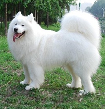 哈希娱乐- 哈希游戏平台- 哈希游戏官方网站恭喜！知名女星再传喜讯！丈夫发文