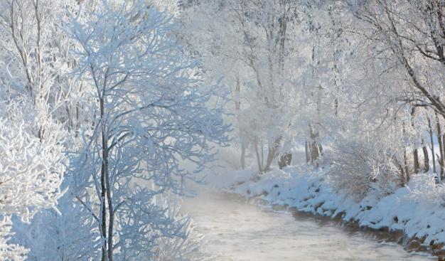 为什么三九四九最冷，三九最冷还是四九最冷