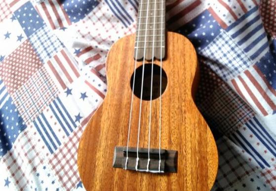 不烧钱又有逼格的乐器,乐器什么最好学什么最不好学