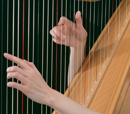 不烧钱又有逼格的乐器,乐器什么最好学什么最不好学