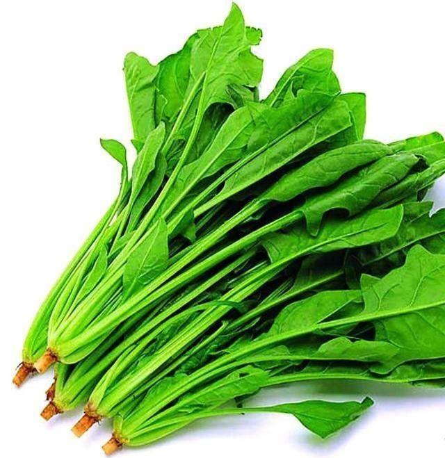 通便排名第一的蔬菜,口臭最怕一物是什么