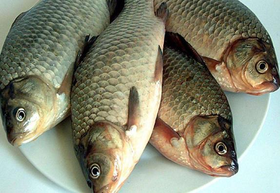 女性常吃什么鱼好,女生吃什么鱼对身体最有好处