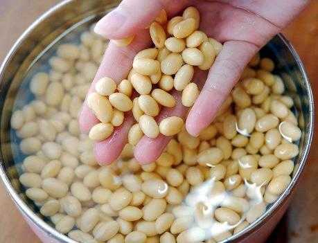 打豆浆为什么要加大米,打豆浆用生豆子还是熟豆子