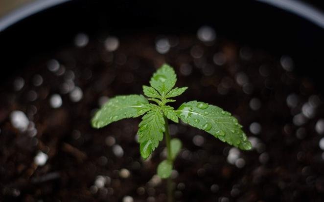 运气不好常念三句话，运气不好时怎么化解