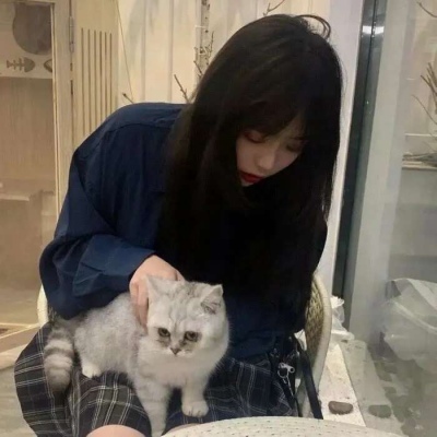 猫系女人的四个特点,猫系女人是什么样子的