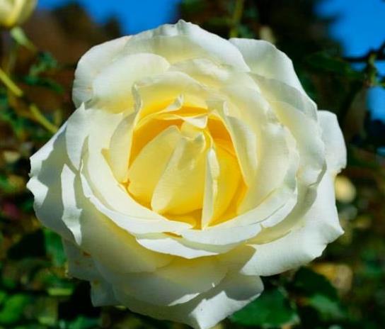 相亲后微信怎么聊天，相亲后一般几天内联系