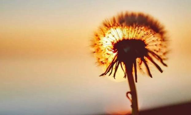 真爱即将到身边的征兆，什么梦预示姻缘即将到了