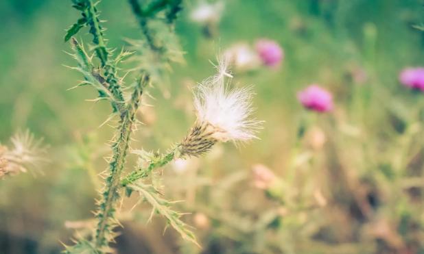 真爱即将到身边的征兆，什么梦预示姻缘即将到了