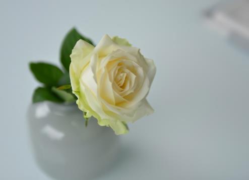 离婚不离家的复婚几率,离婚不离家三个忌讳