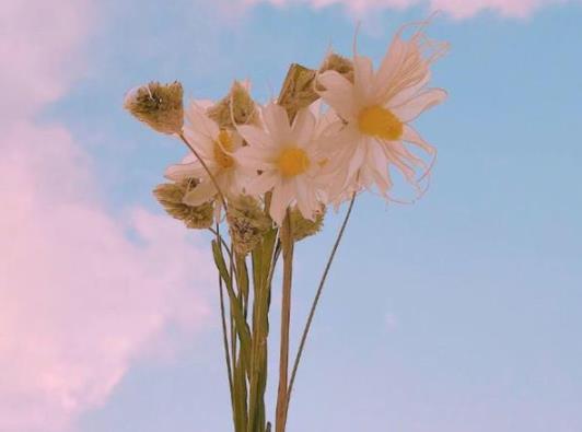 夫妻合不来该不该离婚,朋友离婚怎么劝他复合