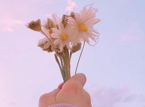 夫妻合不来该不该离婚,朋友离婚怎么劝他复合