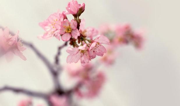 改掉话多的最好方法,控制自己少说话的方法