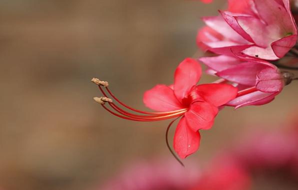 改掉话多的最好方法,控制自己少说话的方法