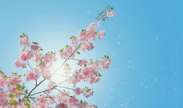 如何让自己活得有乐趣,找点乐趣让自己开心的句子