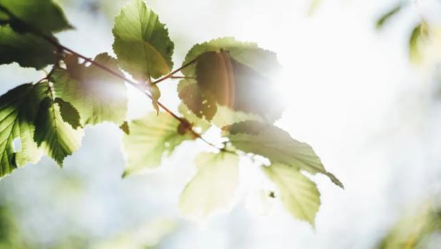 如何让自己活得有乐趣,找点乐趣让自己开心的句子