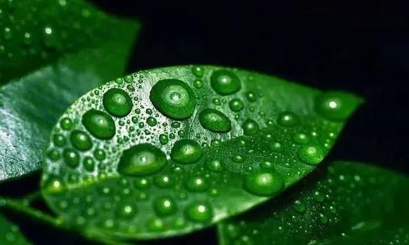 男人和女人体内水的含量,男人与女人身体含水量对比