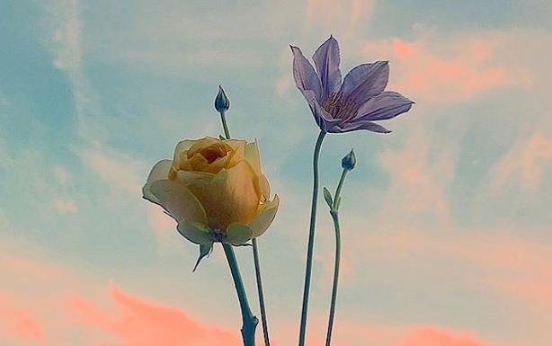 早上元气满满的句子,早上励志正能量句子