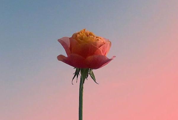 早上元气满满的句子,早上励志正能量句子