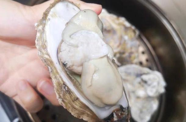 生蚝怎么打开壳后怎么清洗,生蚝做法清蒸几分钟