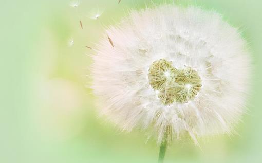 男人变强大的七个特征,男人开始真正变强的7个表现