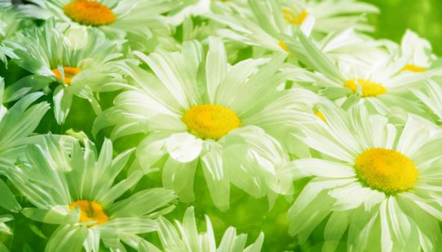 男人变强大的七个特征,男人开始真正变强的7个表现