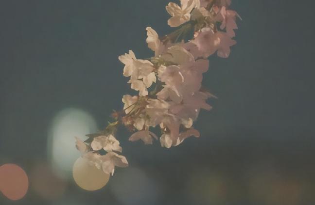 最毁孩子的六种爸爸,女孩缺少父亲的陪伴有什么影响