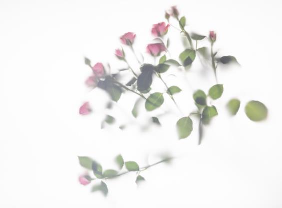 学会圆滑说话技巧，嘴笨不会怼人怎么办