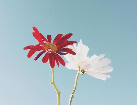 不好相处的女人特点，什么性格的人不好相处
