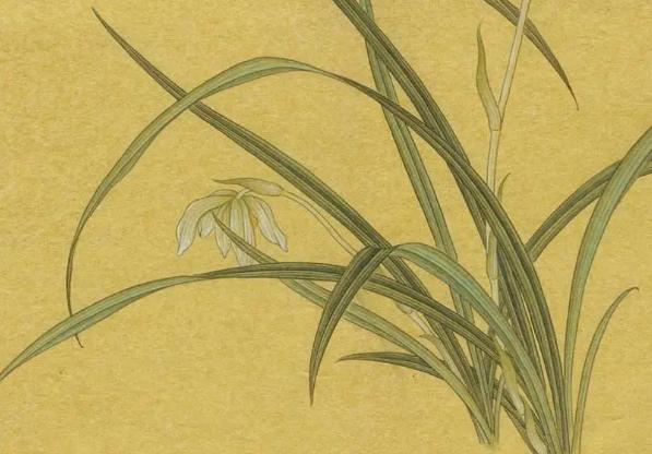 自学工笔画入门步骤,初学工笔画用什么笔