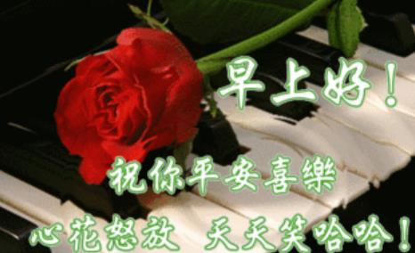 早上好情人暧昧问候玫瑰图片，早上好情人温馨问候语