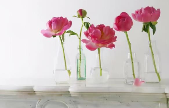 一个人经常诋毁他人是什么心理