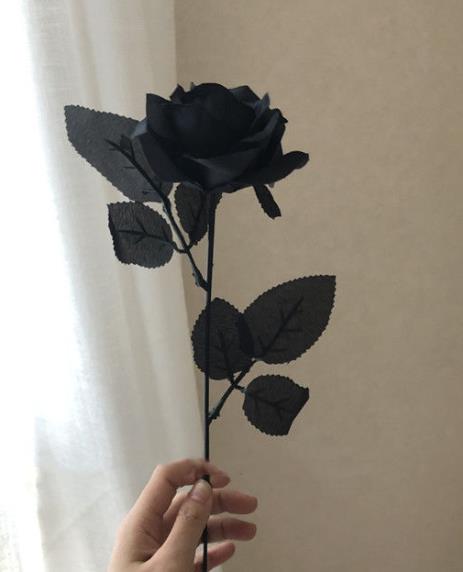 一只手拿花伤感的图片