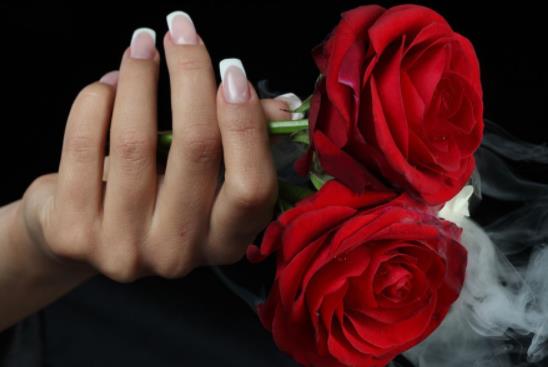 一只手拿玫瑰伤感图片图片