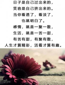 看淡看开无所谓图片，一切看淡一切随缘的图片