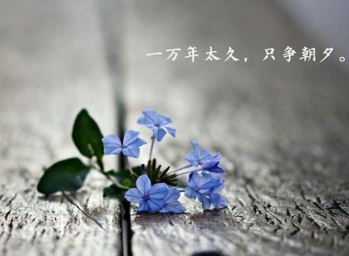 看淡看开无所谓图片,一切看淡一切随缘的图片