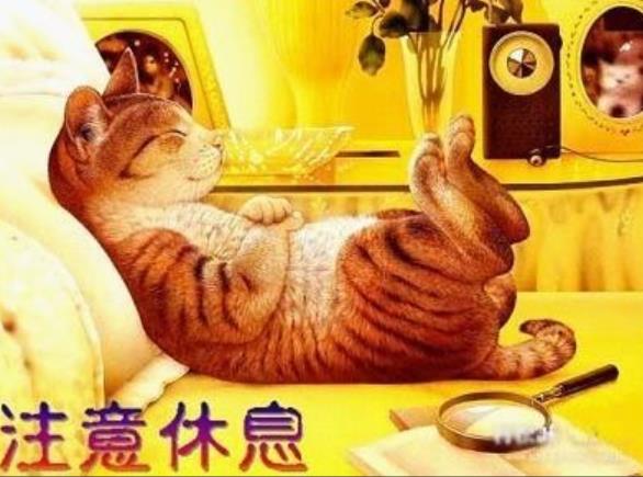 注意休息别累着图片,辛苦了注意休息图片