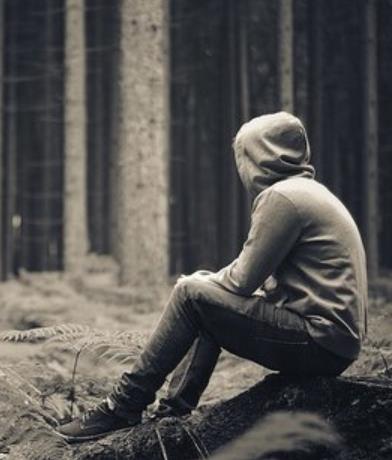 学会独处享受孤独图片