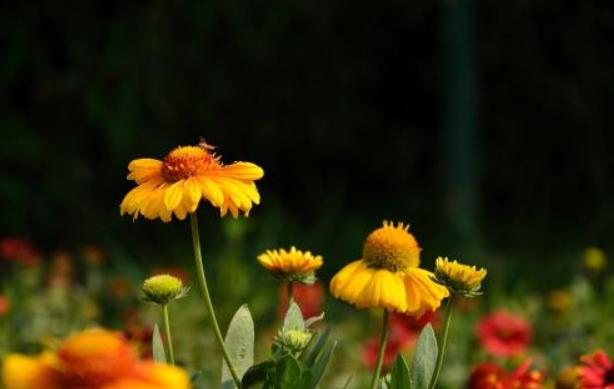 家庭的兴盛取决于五个根本,男人拎不清是一个家庭最大的悲哀吗