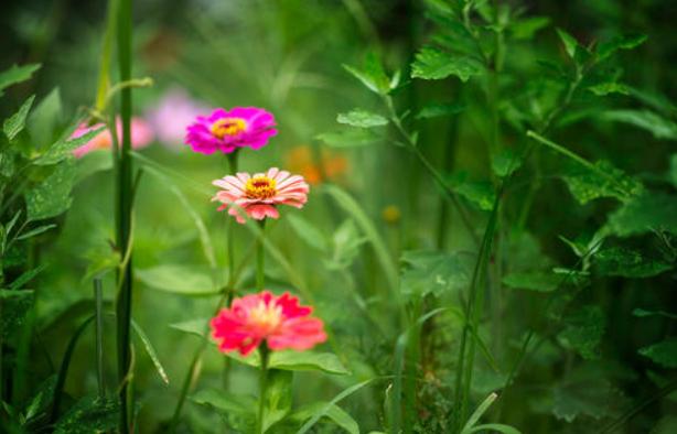 家庭的兴盛取决于五个根本,男人拎不清是一个家庭最大的悲哀吗