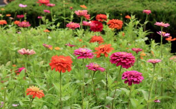 家庭的兴盛取决于五个根本,男人拎不清是一个家庭最大的悲哀吗