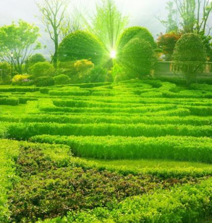 给自己一个好心情图片