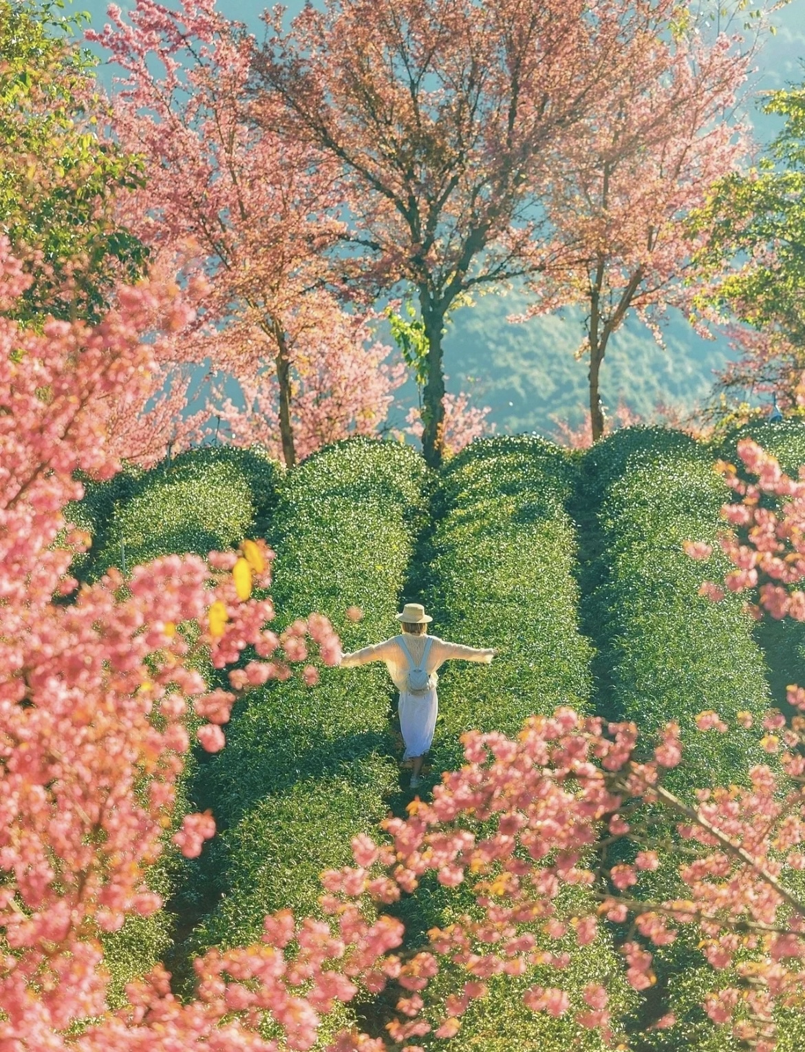 给自己一个好心情图片,让心灵充满阳光图片