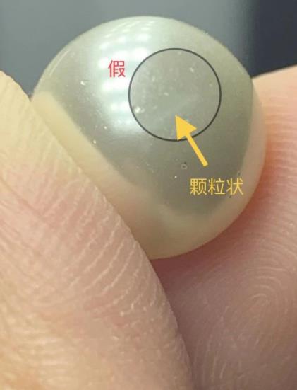 真假珍珠图片对照19