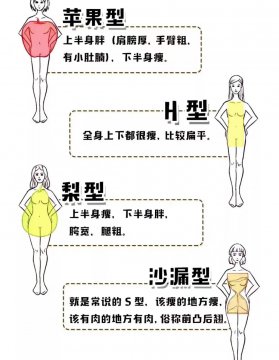 身材类型分类图片，女性身材分类图片
