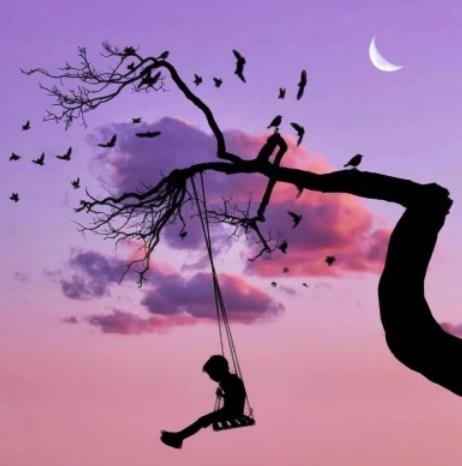 简单干净有内涵的照片,有品位有涵养的图片