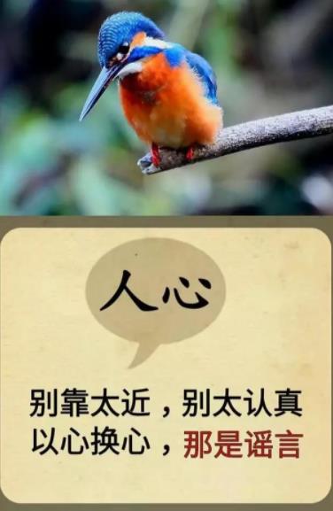 人心可怕的图片大全,人不可怕可怕的是人心的图片