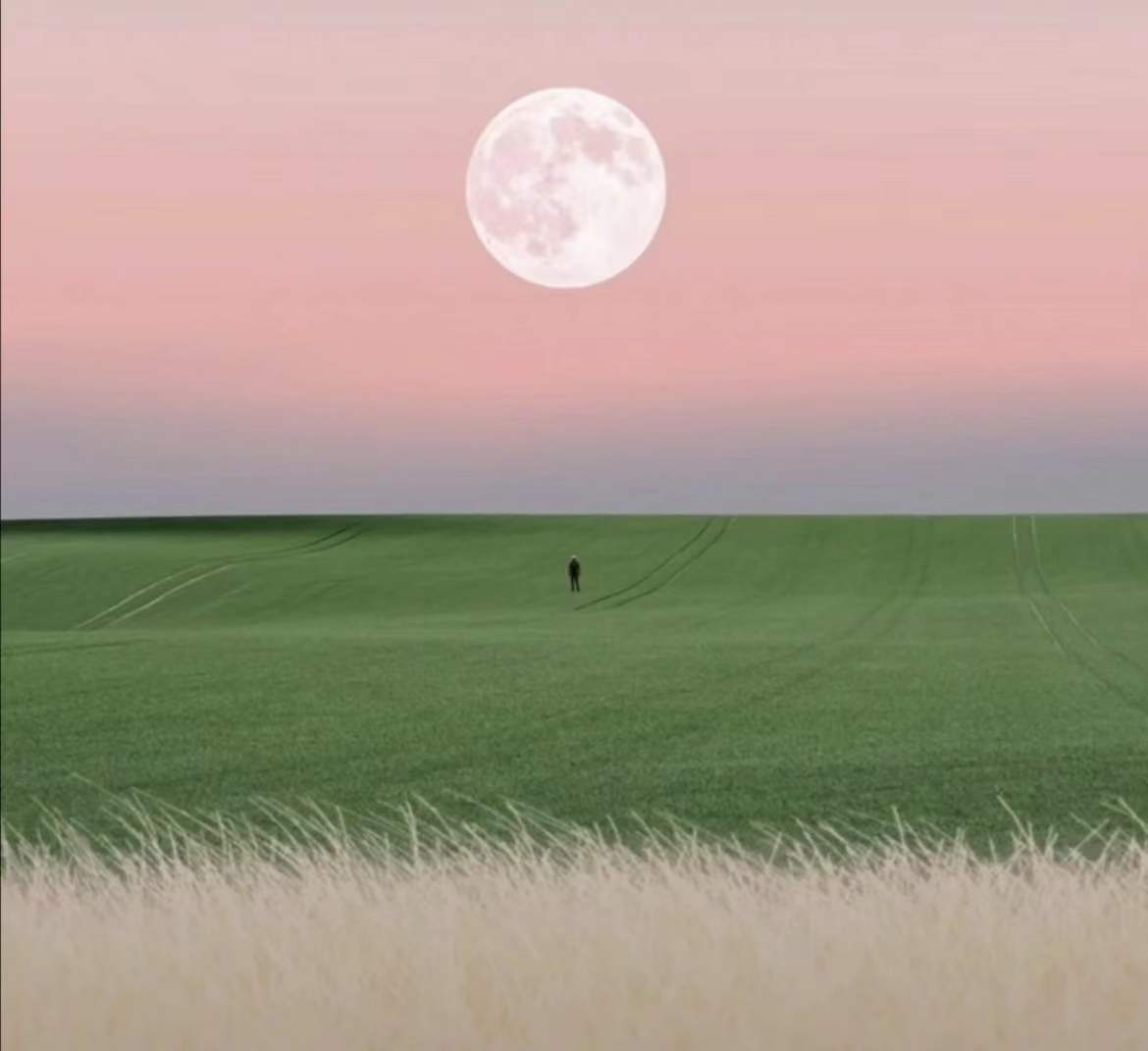 有深意的唯美图片大全,独一无二唯美的图片