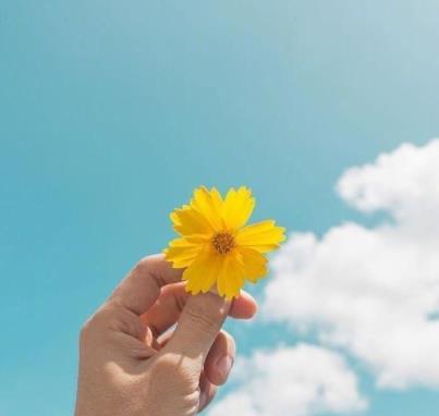 积极向上朝气蓬勃的图片18